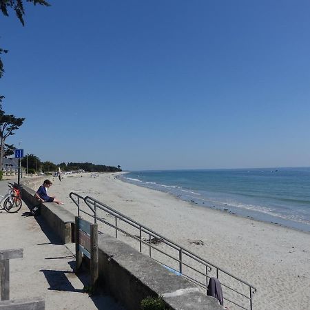 Appartement Neuf 2-4 Pers, Terrasse Et Jardin, A 400M De La Plage Du Rohaliguen - Fr-1-639-35 Sarzeau Dış mekan fotoğraf